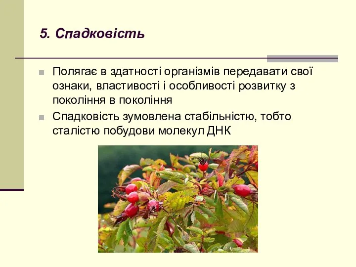 5. Спадковість Полягає в здатності організмів передавати свої ознаки, властивості і особливості