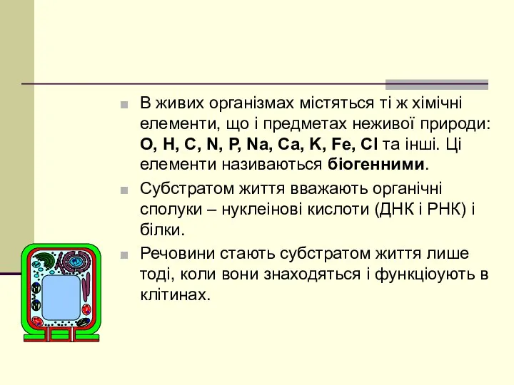 В живих організмах містяться ті ж хімічні елементи, що і предметах неживої