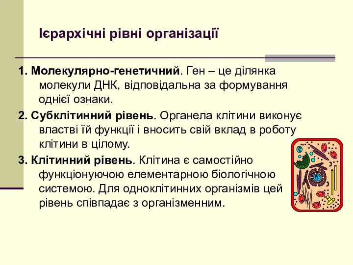 Ієрархічні рівні організації 1. Молекулярно-генетичний. Ген – це ділянка молекули ДНК, відповідальна