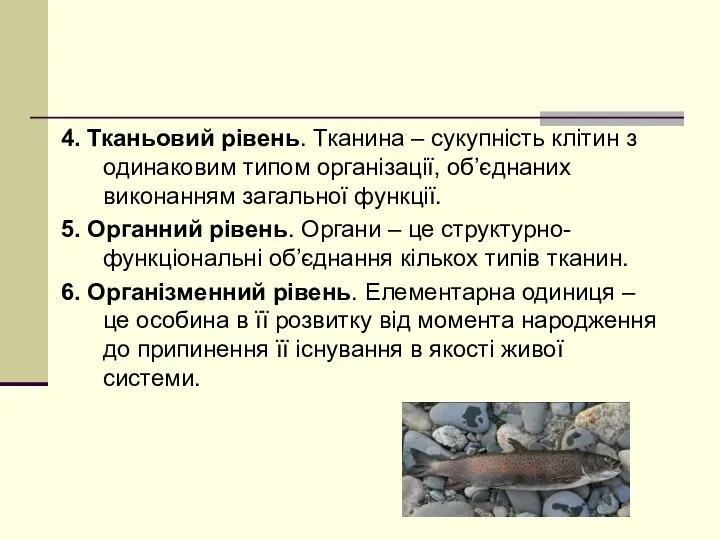 4. Тканьовий рівень. Тканина – сукупність клітин з одинаковим типом організації, об’єднаних