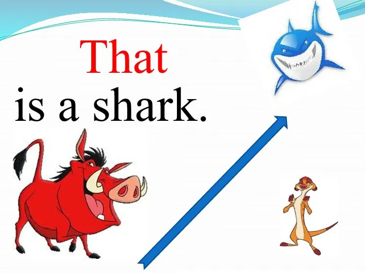 is a shark. That