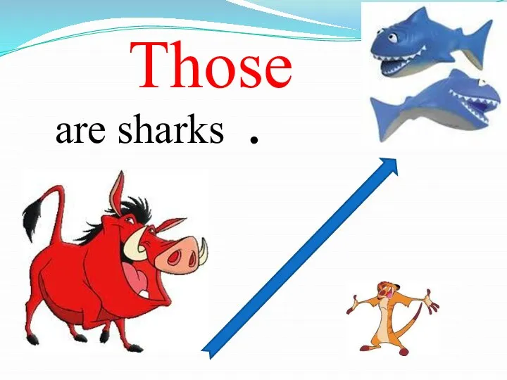are sharks . Those