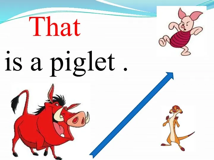 is a piglet . That