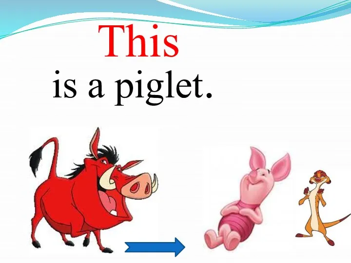 is a piglet. This