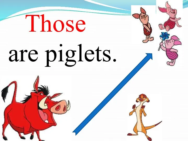 are piglets. Those