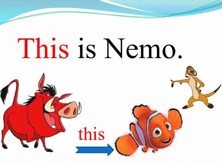 This is Nemo. this