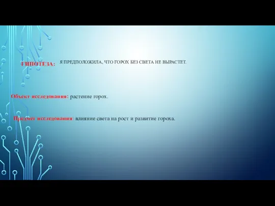 ГИПОТЕЗА: Я ПРЕДПОЛОЖИЛА, ЧТО ГОРОХ БЕЗ СВЕТА НЕ ВЫРАСТЕТ. Объект исследования: растение