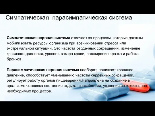 Симпатическая парасимпатическая система Симпатическая нервная система отвечает за процессы, которые должны мобилизовать