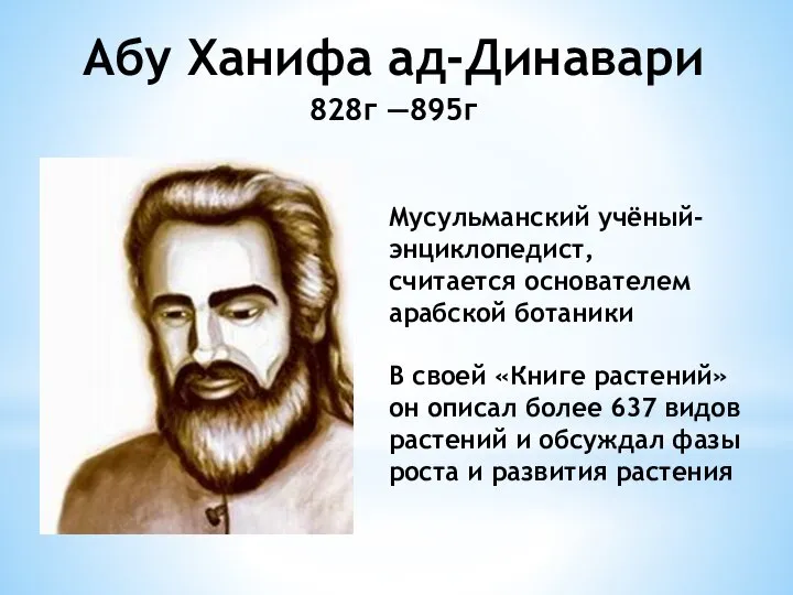 Абу Ханифа ад-Динавари 828г —895г Мусульманский учёный-энциклопедист, считается основателем арабской ботаники В