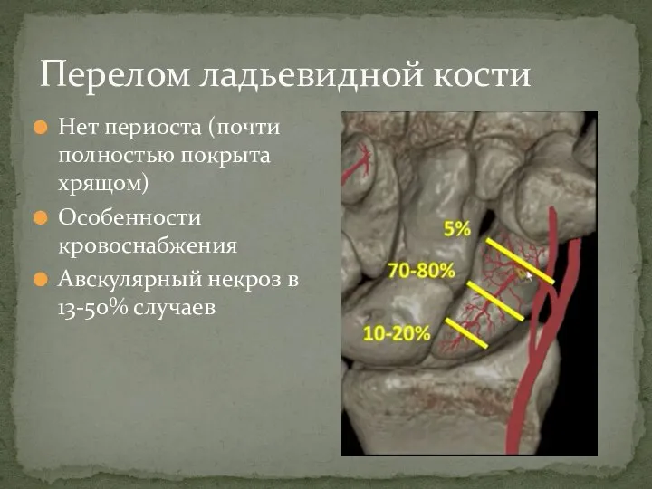 Нет периоста (почти полностью покрыта хрящом) Особенности кровоснабжения Авскулярный некроз в 13-50% случаев Перелом ладьевидной кости