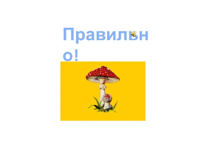 Правильно!