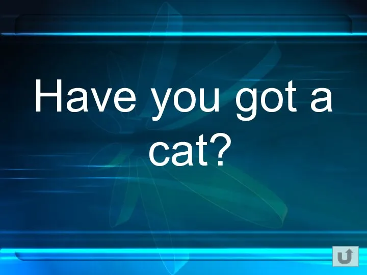 Have you got a cat?