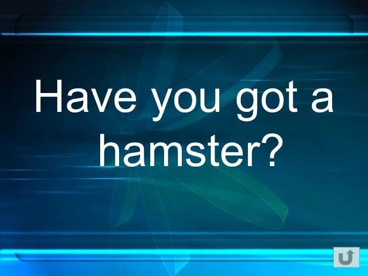 Have you got a hamster?