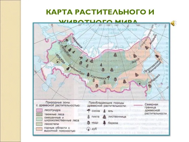 КАРТА РАСТИТЕЛЬНОГО И ЖИВОТНОГО МИРА