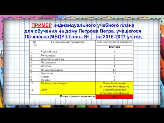 ПРИМЕР индивидуального учебного плана для обучения на дому Петрова Петра, учащегося 10г