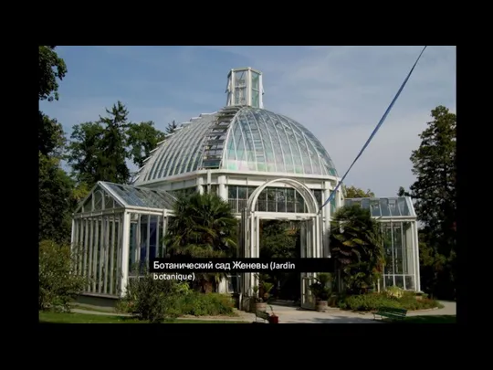 Ботанический сад Женевы (Jardin botanique)