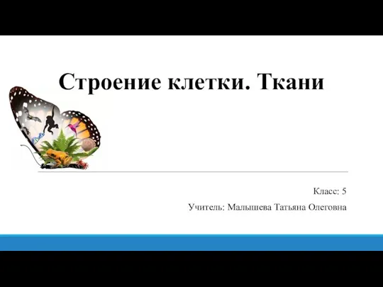 Строение клетки. Ткани Класс: 5 Учитель: Малышева Татьяна Олеговна