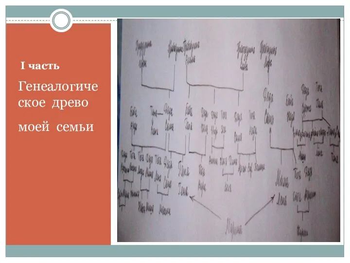 I часть Генеалогическое древо моей семьи Генеалогическое древо