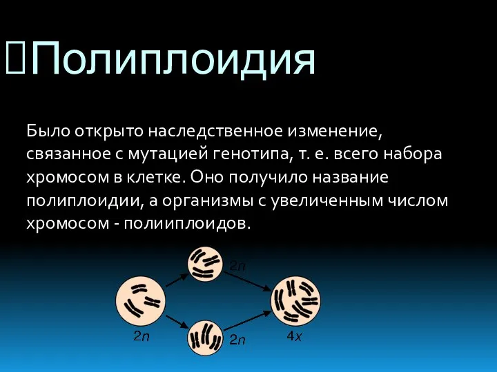 Полиплоидия Было открыто наследственное изменение, связанное с мутацией генотипа, т. е. всего