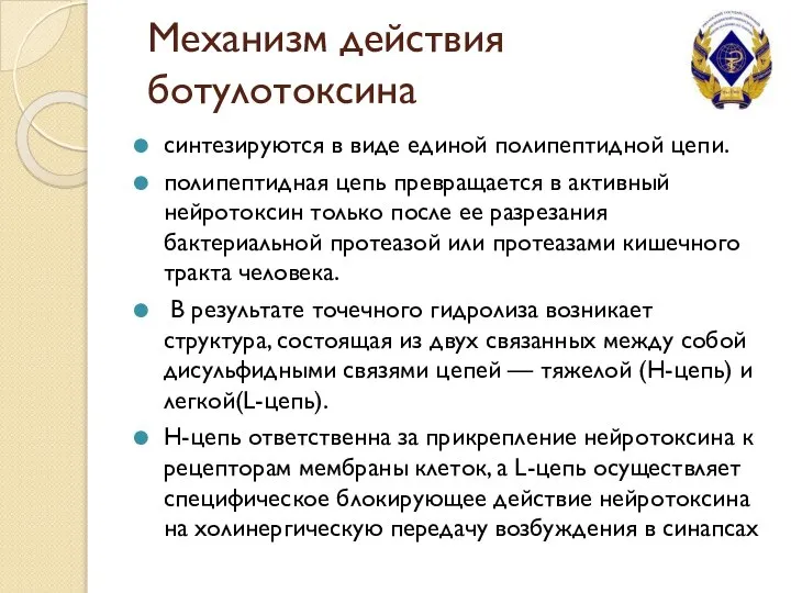 Механизм действия ботулотоксина синтезируются в виде единой полипептидной цепи. полипептидная цепь превращается