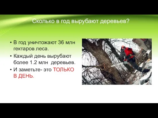 Сколько в год вырубают деревьев? В год уничтожают 36 млн гектаров леса.