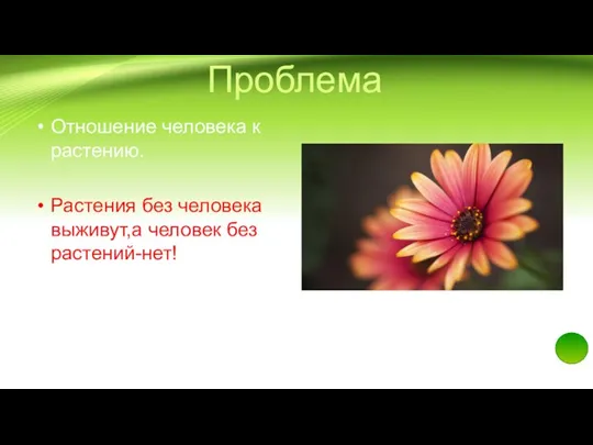 Проблема Отношение человека к растению. Растения без человека выживут,а человек без растений-нет!