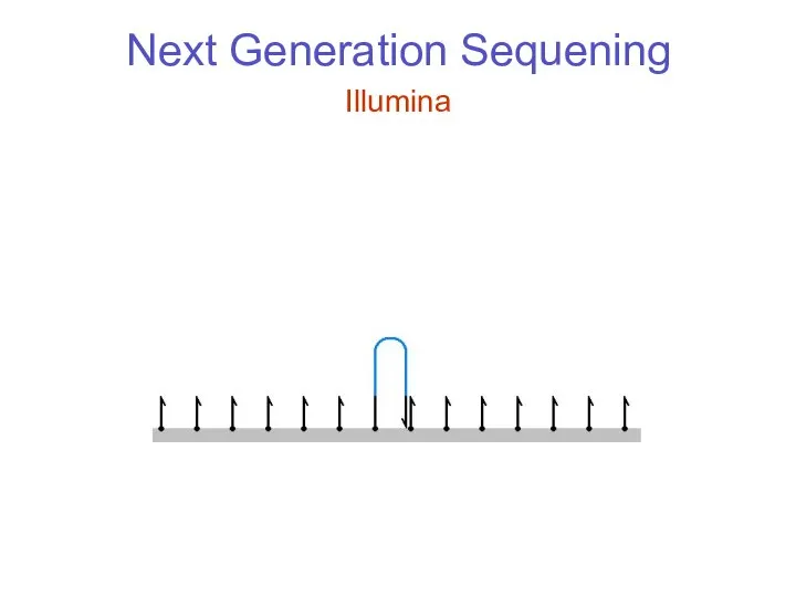 Next Generation Sequening Illumina