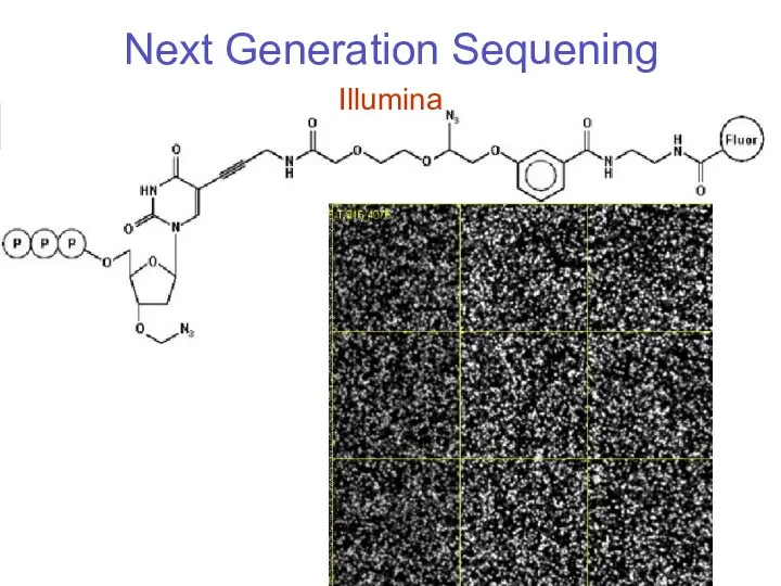 Next Generation Sequening Illumina