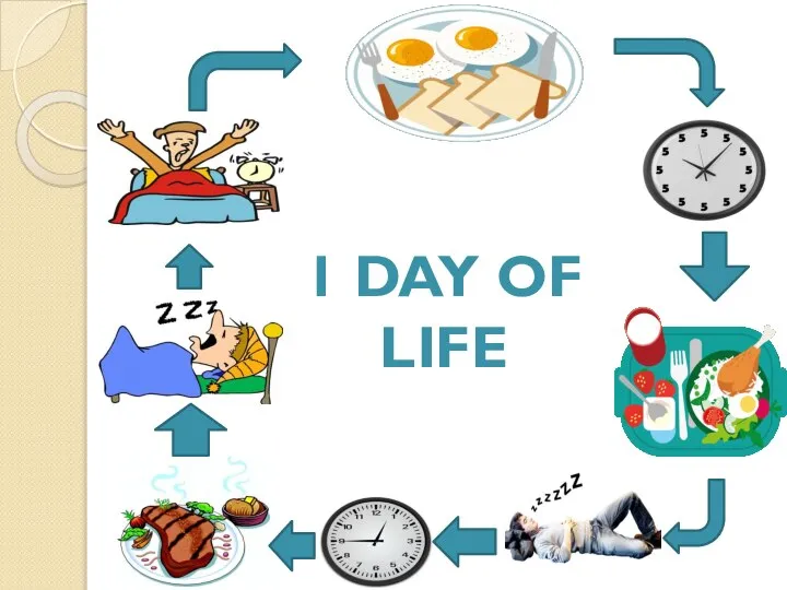 1 DAY OF LIFE
