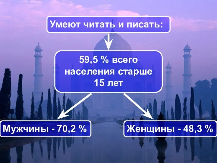 59,5 % всего населения старше 15 лет Умеют читать и писать: Женщины