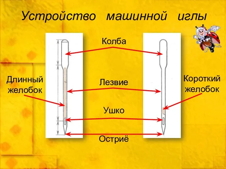 Устройство машинной иглы Колба Ушко Короткий желобок Длинный желобок Остриё Лезвие