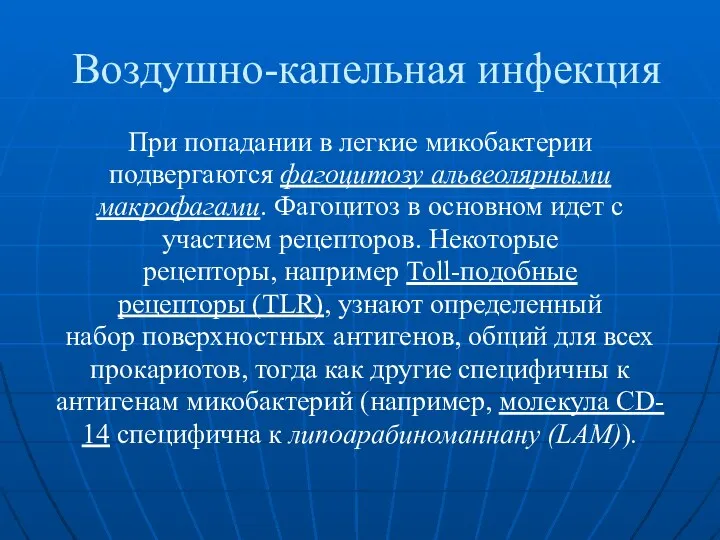 Воздушно-капельная инфекция При попадании в легкие микобактерии подвергаются фагоцитозу альвеолярными макрофагами. Фагоцитоз