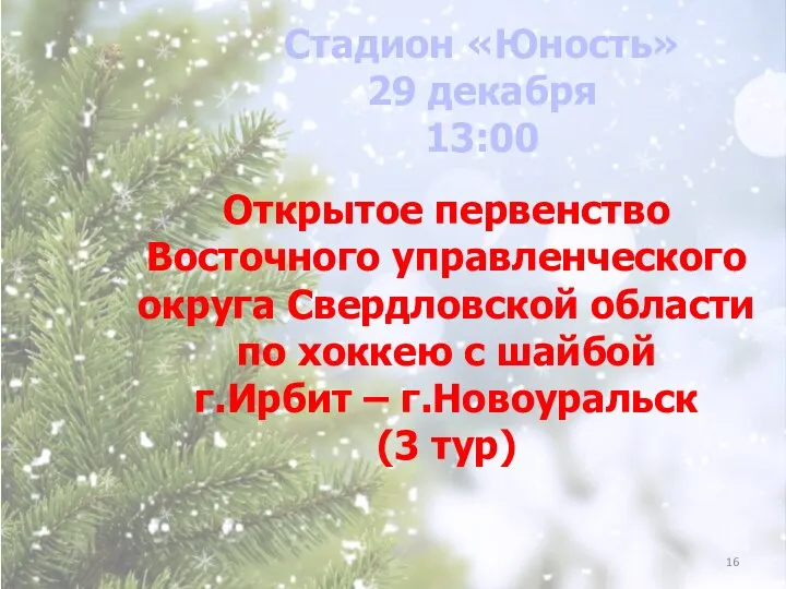 Открытое первенство Восточного управленческого округа Свердловской области по хоккею с шайбой г.Ирбит