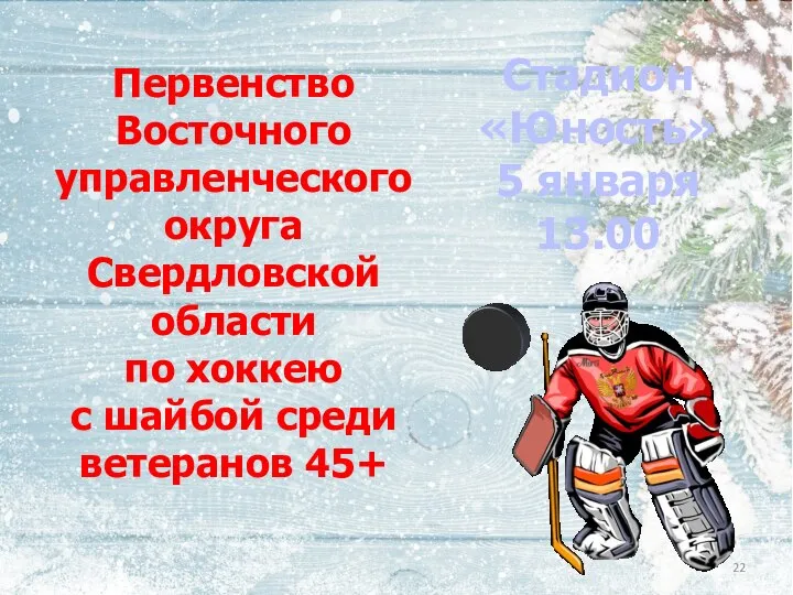 Первенство Восточного управленческого округа Свердловской области по хоккею с шайбой среди ветеранов