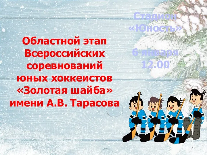 Областной этап Всероссийских соревнований юных хоккеистов «Золотая шайба» имени А.В. Тарасова Стадион «Юность» 6 января 12.00