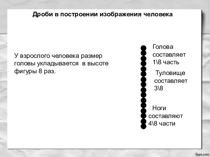 Голова составляет 1\8 часть Туловище составляет 3\8 Ноги составляют 4\8 части У