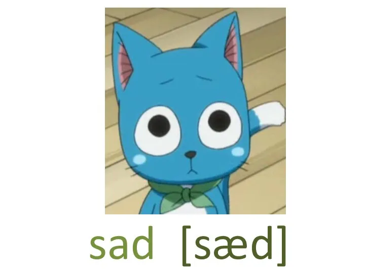 sad [sæd]