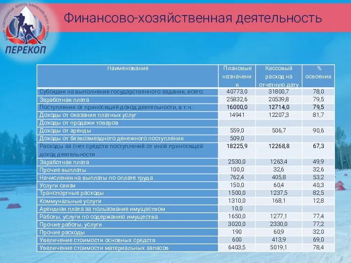 Финансово-хозяйственная деятельность