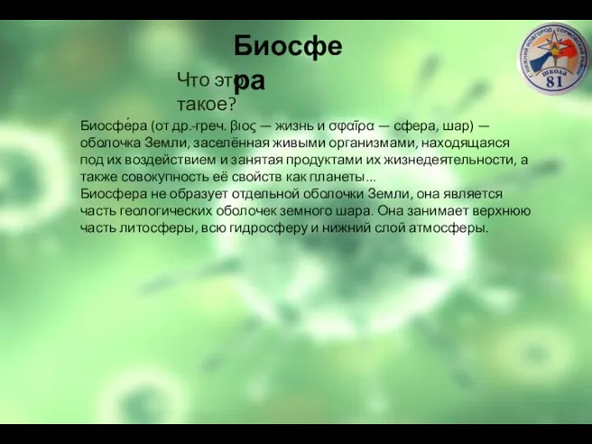 Биосфера Что это такое? Биосфе́ра (от др.-греч. βιος — жизнь и σφαῖρα