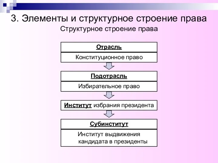 Конституционное право Структурное строение права Подотрасль Избирательное право Институт выдвижения кандидата в