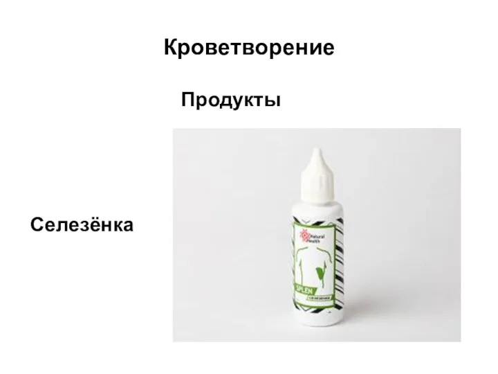 Кроветворение Продукты Селезёнка