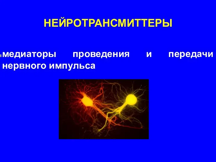 медиаторы проведения и передачи нервного импульса НЕЙРОТРАНСМИТТЕРЫ