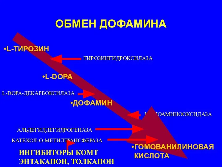 ОБМЕН ДОФАМИНА L-DOPA-ДЕКАРБОКСИЛАЗА ТИРОЗИНГИДРОКСИЛАЗА МОНОАМИНООКСИДАЗА АЛЬДЕГИДДЕГИДРОГЕНАЗА L-ТИРОЗИН L-DOPA ДОФАМИН ГОМОВАНИЛИНОВАЯ КИСЛОТА КАТЕХОЛ-О-МЕТИЛТРАНСФЕРАЗА ИНГИБИТОРЫ КОМТ ЭНТАКАПОН, ТОЛКАПОН