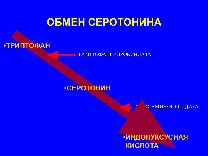 ОБМЕН СЕРОТОНИНА ТРИПТОФАНГИДРОКСИЛАЗА МОНОАМИНООКСИДАЗА ТРИПТОФАН СЕРОТОНИН ИНДОЛУКСУСНАЯ КИСЛОТА