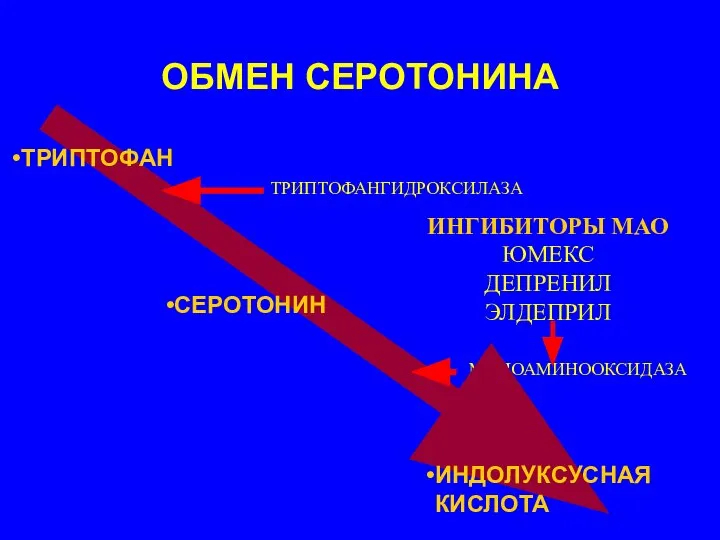 ОБМЕН СЕРОТОНИНА ТРИПТОФАНГИДРОКСИЛАЗА МОНОАМИНООКСИДАЗА ТРИПТОФАН СЕРОТОНИН ИНДОЛУКСУСНАЯ КИСЛОТА ИНГИБИТОРЫ МАО ЮМЕКС ДЕПРЕНИЛ ЭЛДЕПРИЛ