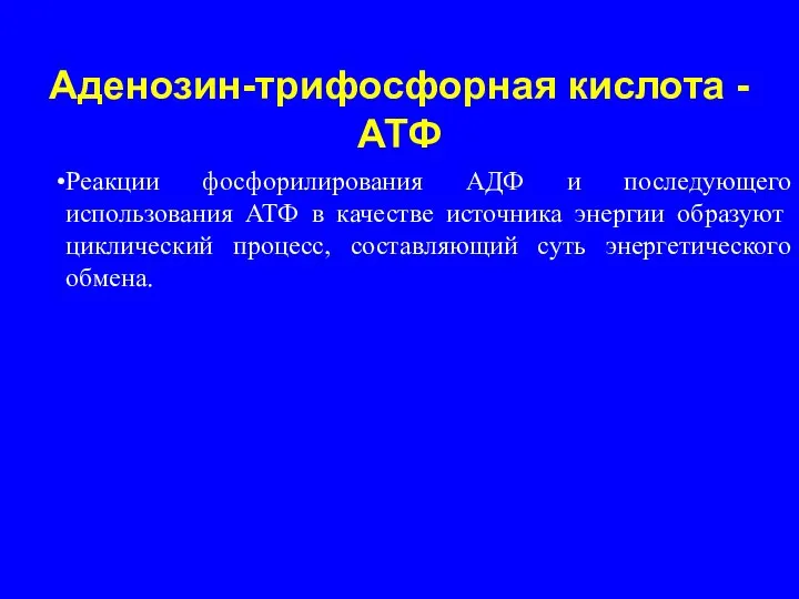 Реакции фосфорилирования АДФ и последующего использования АТФ в качестве источника энергии образуют