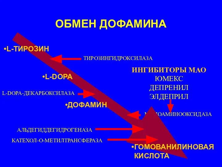 ОБМЕН ДОФАМИНА L-DOPA-ДЕКАРБОКСИЛАЗА ТИРОЗИНГИДРОКСИЛАЗА МОНОАМИНООКСИДАЗА АЛЬДЕГИДДЕГИДРОГЕНАЗА L-ТИРОЗИН L-DOPA ДОФАМИН ГОМОВАНИЛИНОВАЯ КИСЛОТА КАТЕХОЛ-О-МЕТИЛТРАНСФЕРАЗА