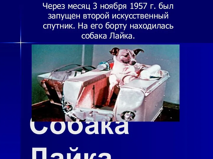 Собака Лайка Через месяц 3 ноября 1957 г. был запущен второй искусственный