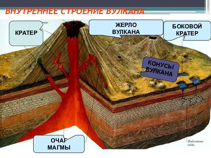 ВНУТРЕННЕЕ СТРОЕНИЕ ВУЛКАНА ЖЕРЛО ВУЛКАНА БОКОВОЙ КРАТЕР ОЧАГ МАГМЫ КРАТЕР КОНУСЫ ВУЛКАНА