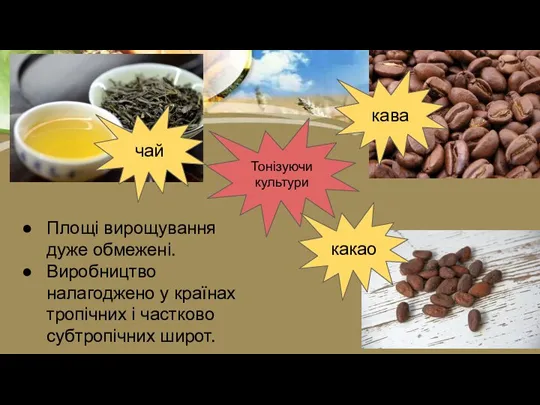 Тонізуючи культури чай кава какао Площі вирощування дуже обмежені. Виробництво налагоджено у